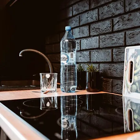 Loft Na Moniuszki * 拉多姆