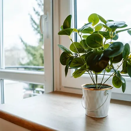 Loft Na Moniuszki * Radom